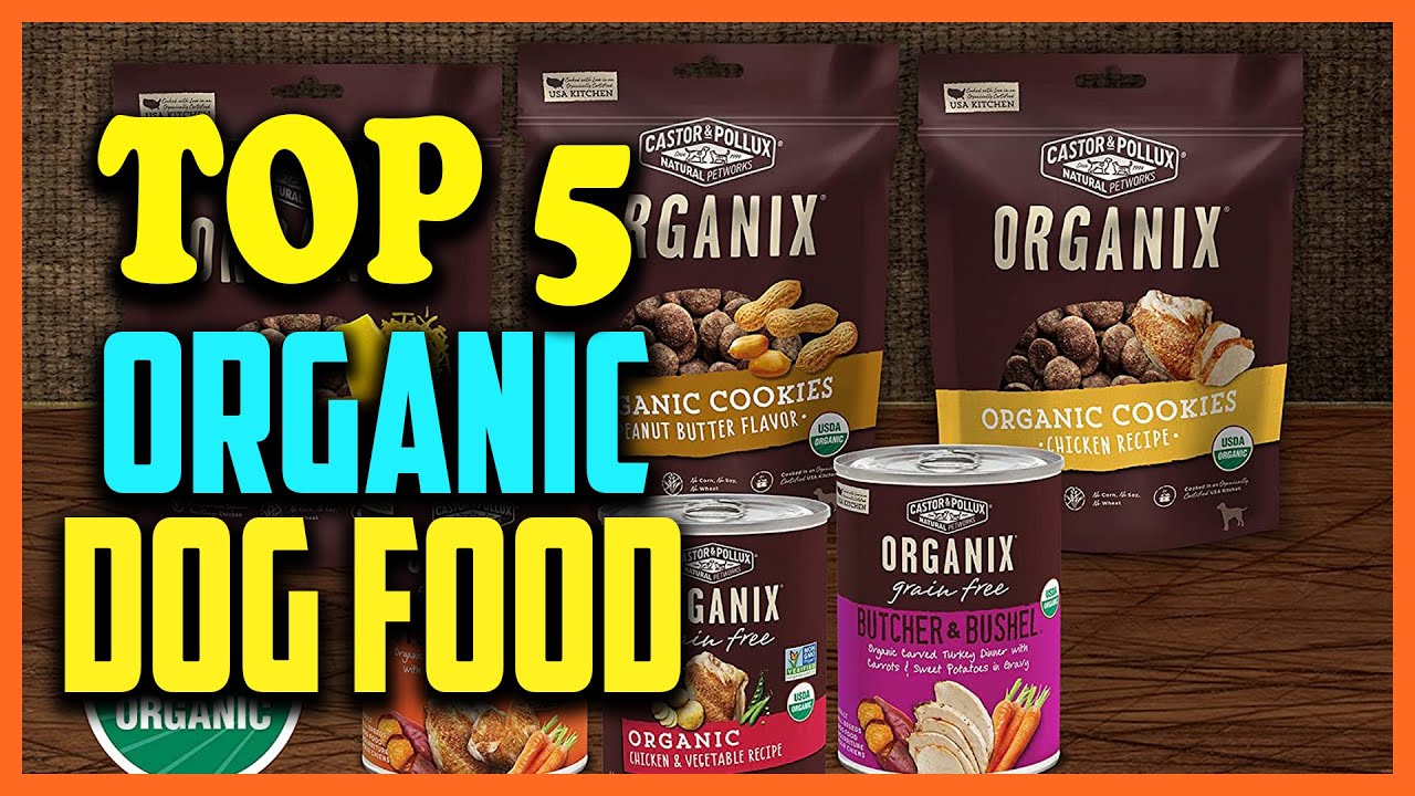 ✅Top 5 Best Organic Dog Food Review 2025