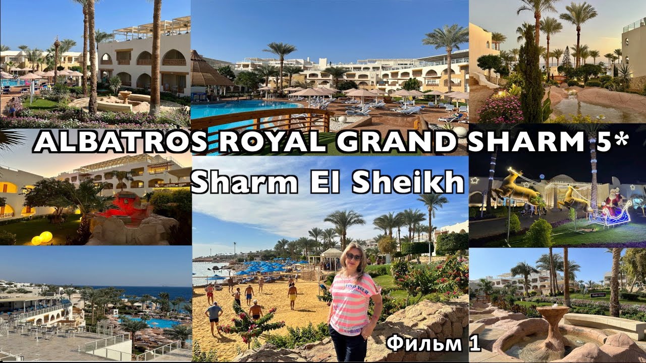 HOTEL ALBATROS ROYAL GRAND SHARM 16+ фильм 1.Обзор территории, пляжа, стандартного номера.