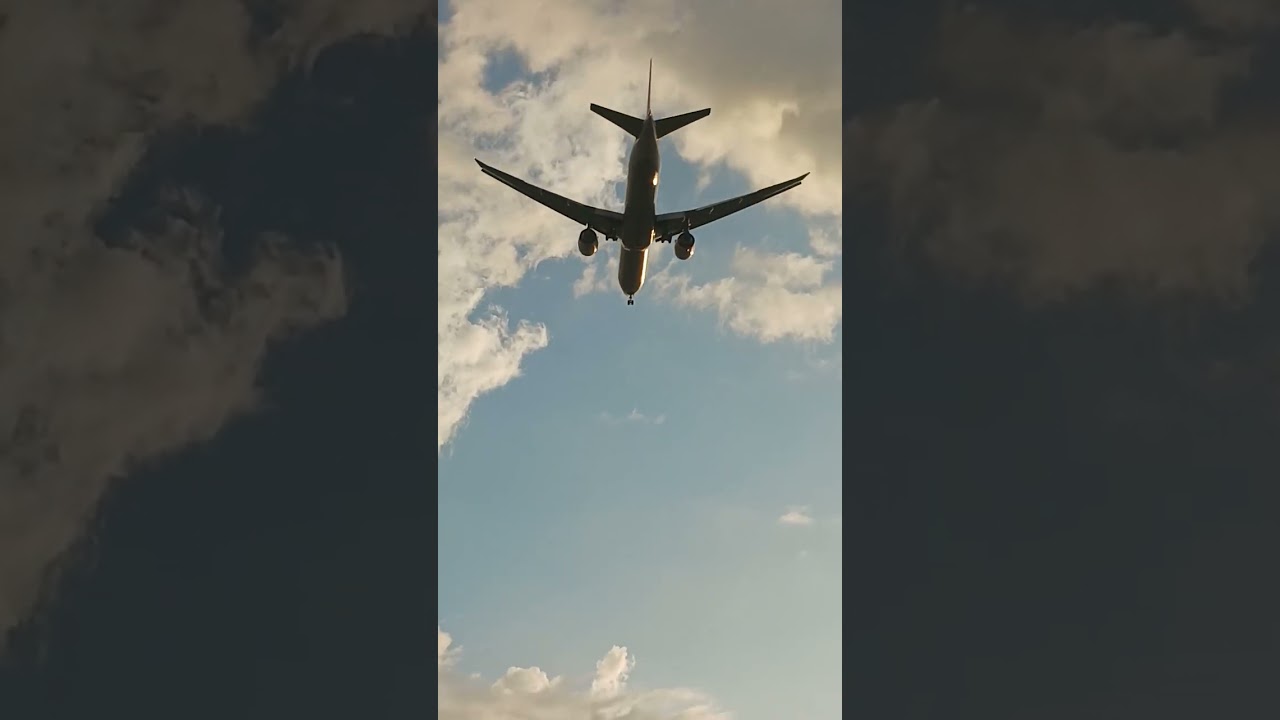 Turkish Airlines Boeing 777-3F2(ER) (TC-JJT) Approaching to Miami from Istanbul as TK77 #shorts