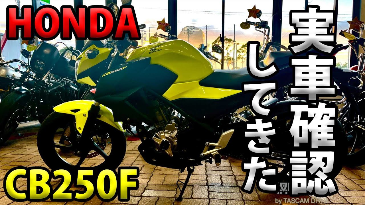 【HONDA CB250F実車確認して来ました】空波鳥の呟き2024