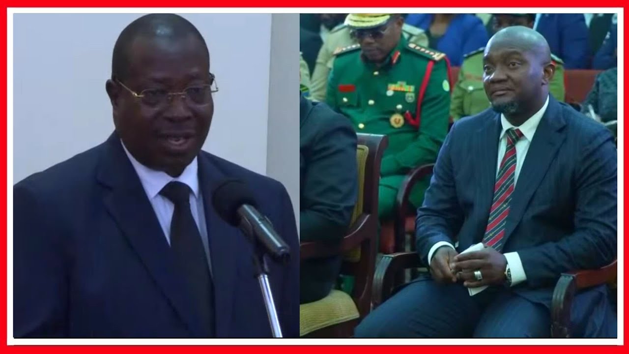 MAKAMU wa RAIS AMCHANA WAZIRI MCHENGERWA MBELE ya RAIS SAMIA - ''SEKTA HIYO INAVISHAWISHI VINGI''...