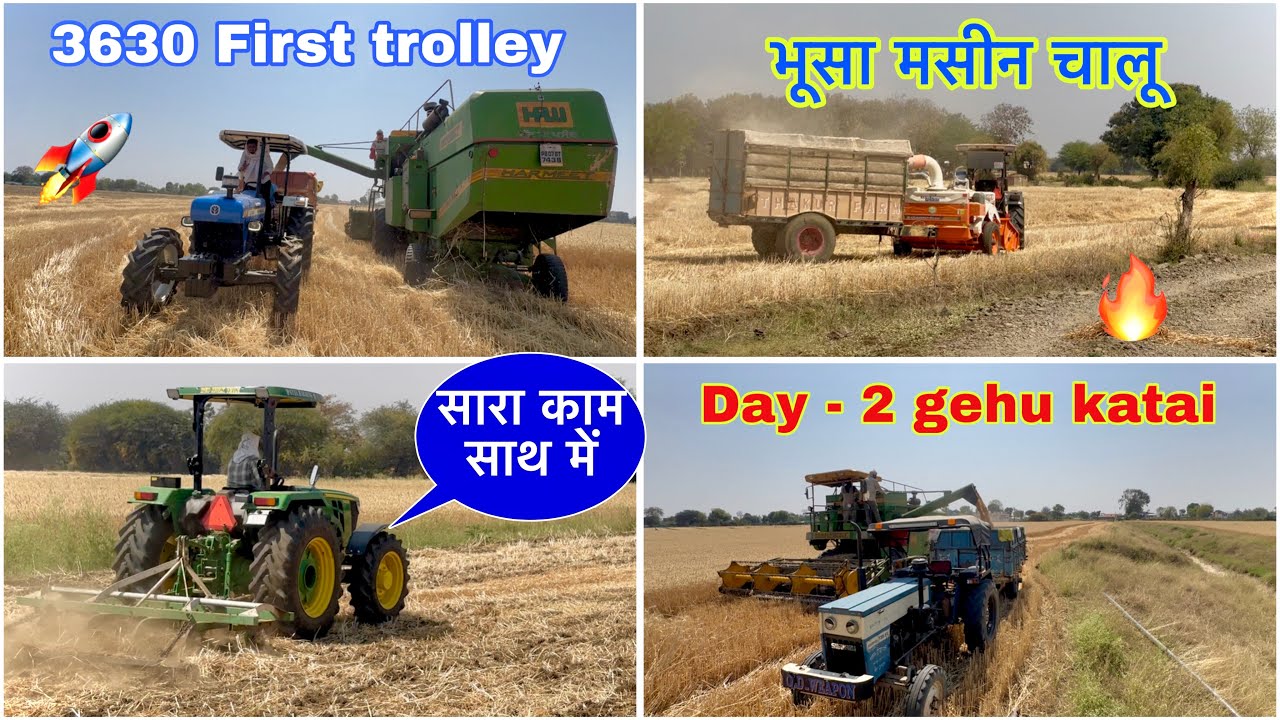 Day- 2 🌾 !! 3630 4 WD ki pehli Gehu ki trolley 🚀 // गेहूँ कटाई 🌾 !! New Holland & Swaraj working ⚠️