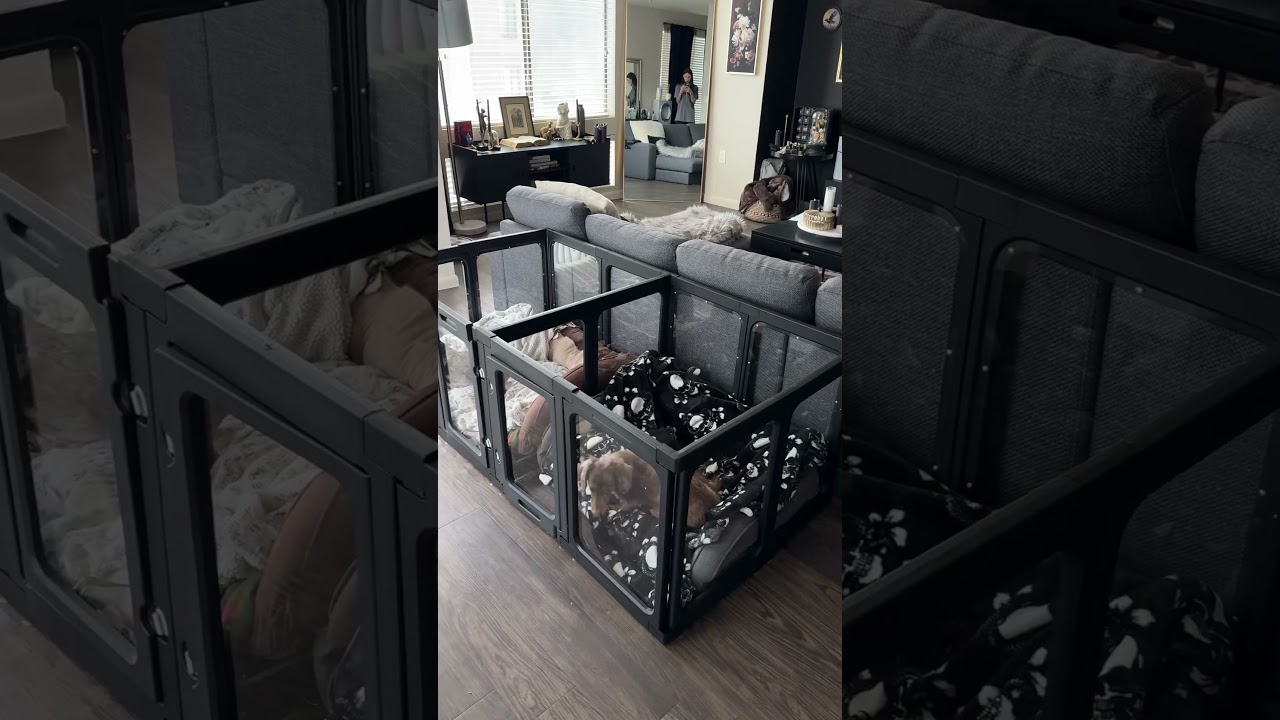 modern aesthetic dog crate update for the girlies 🖤 #dogs #dachshund #amazonfinds
