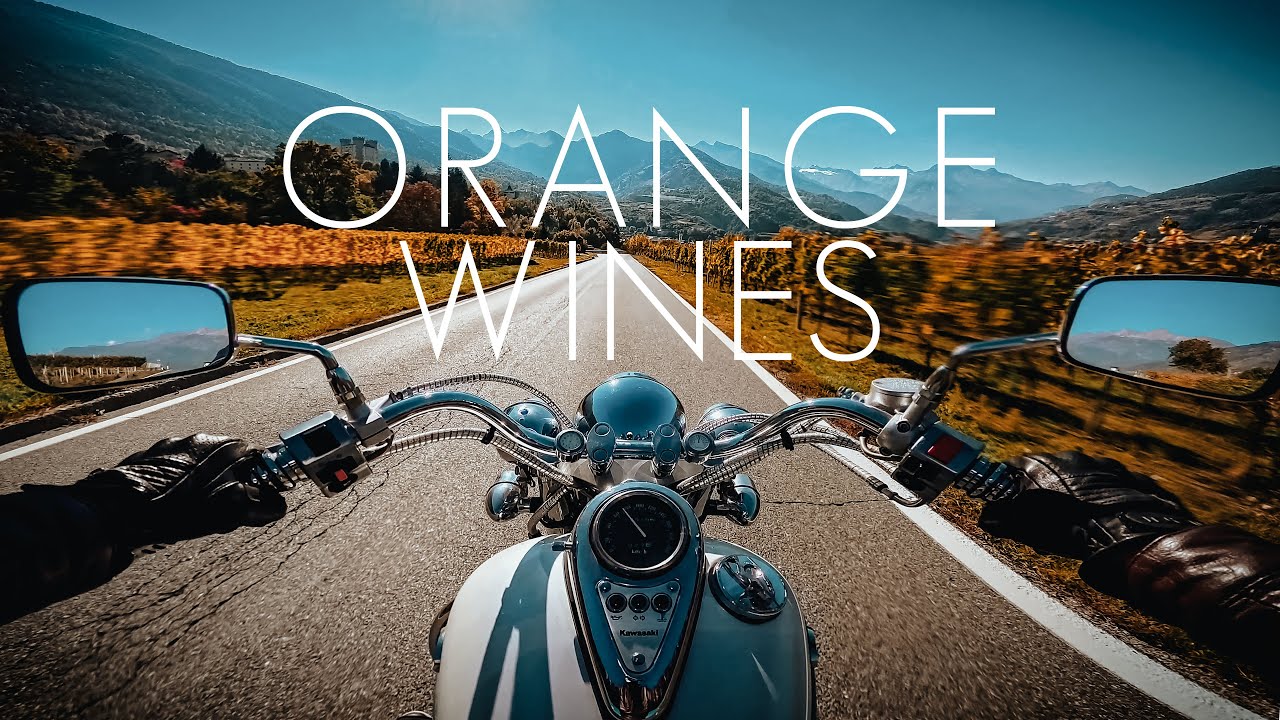 ORANGE WINES Kawasaki VN800 Classic | PURE SOUND🔊
