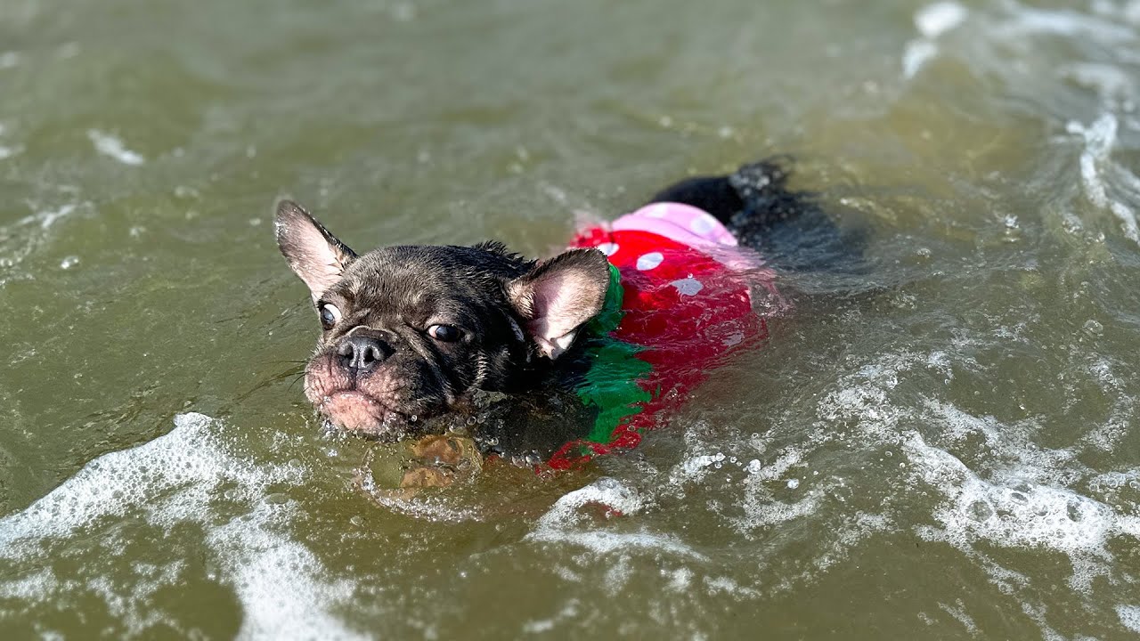 Mun was excited when father took her to the beach for the first time
