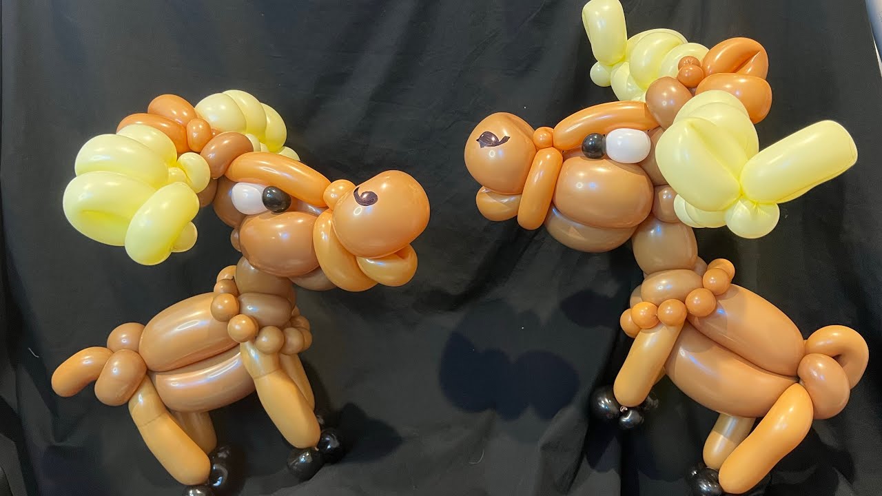 Moose Balloon tutorial