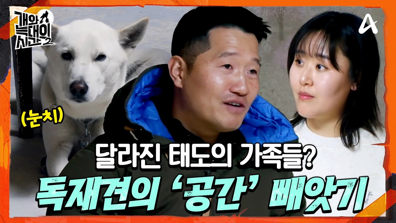 [#개와늑대의시간2] 단호한 태도로 무장한 가족들😡 진돗개에게서 '주도권'을 되찾아라! | 개와 늑대의 시간 시즌2 9회