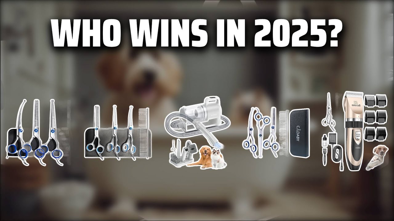 The Top 5 Best Shih Tzu Grooming Kit in 2025 - Must Watch Before Buying!