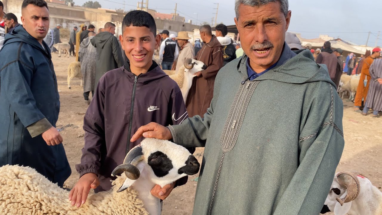 مباشرة من سوق ثلات أولاد فارس 28/10/2025 مع التمن حولي والنعجة وحولية 🐏🇲🇦