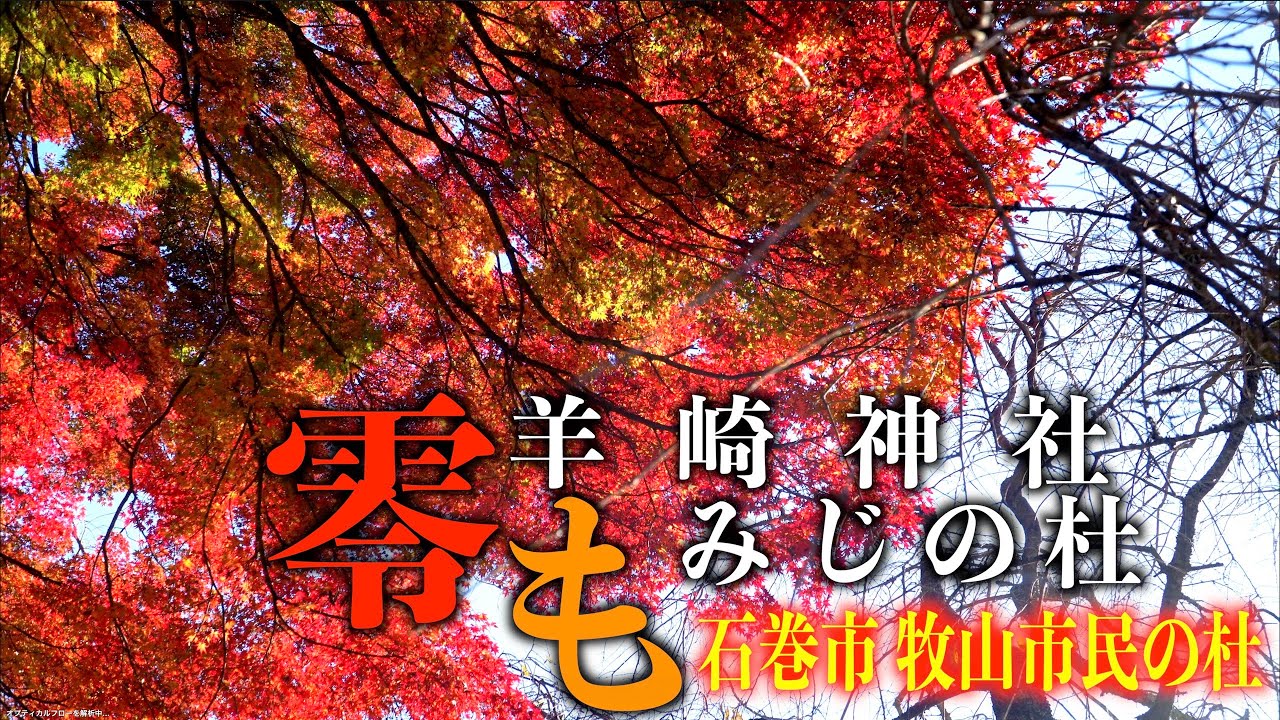 「零羊崎神社 もみじの杜」の紅葉 - 石巻市牧山市民の森 - 宮城県石巻市 2024/11/13