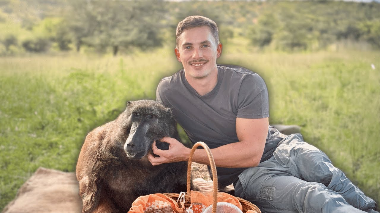 A Picnic With My Baboon Sister