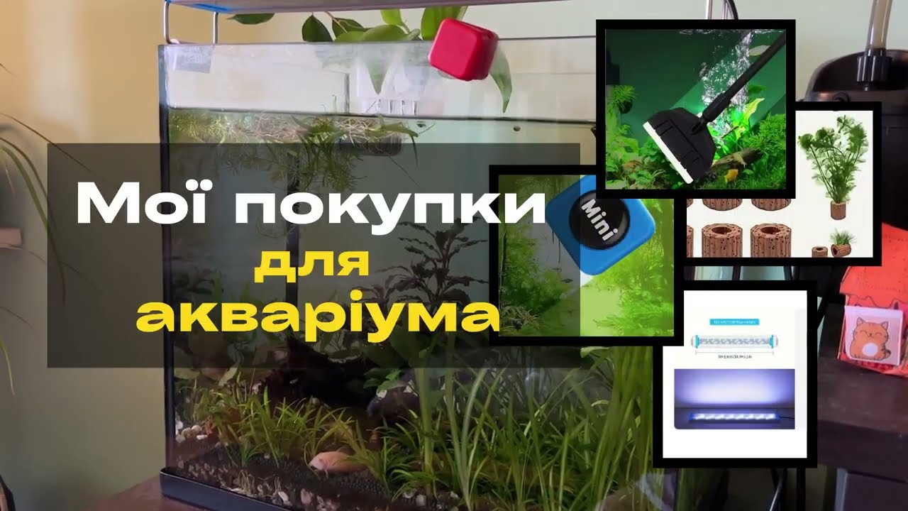 Топ моїх покупок для акваріума з TEMU