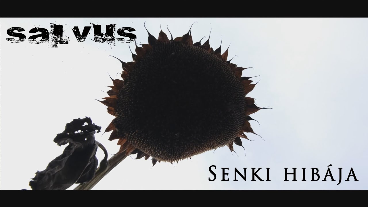 Salvus - Senki hibája (Official Music Video)