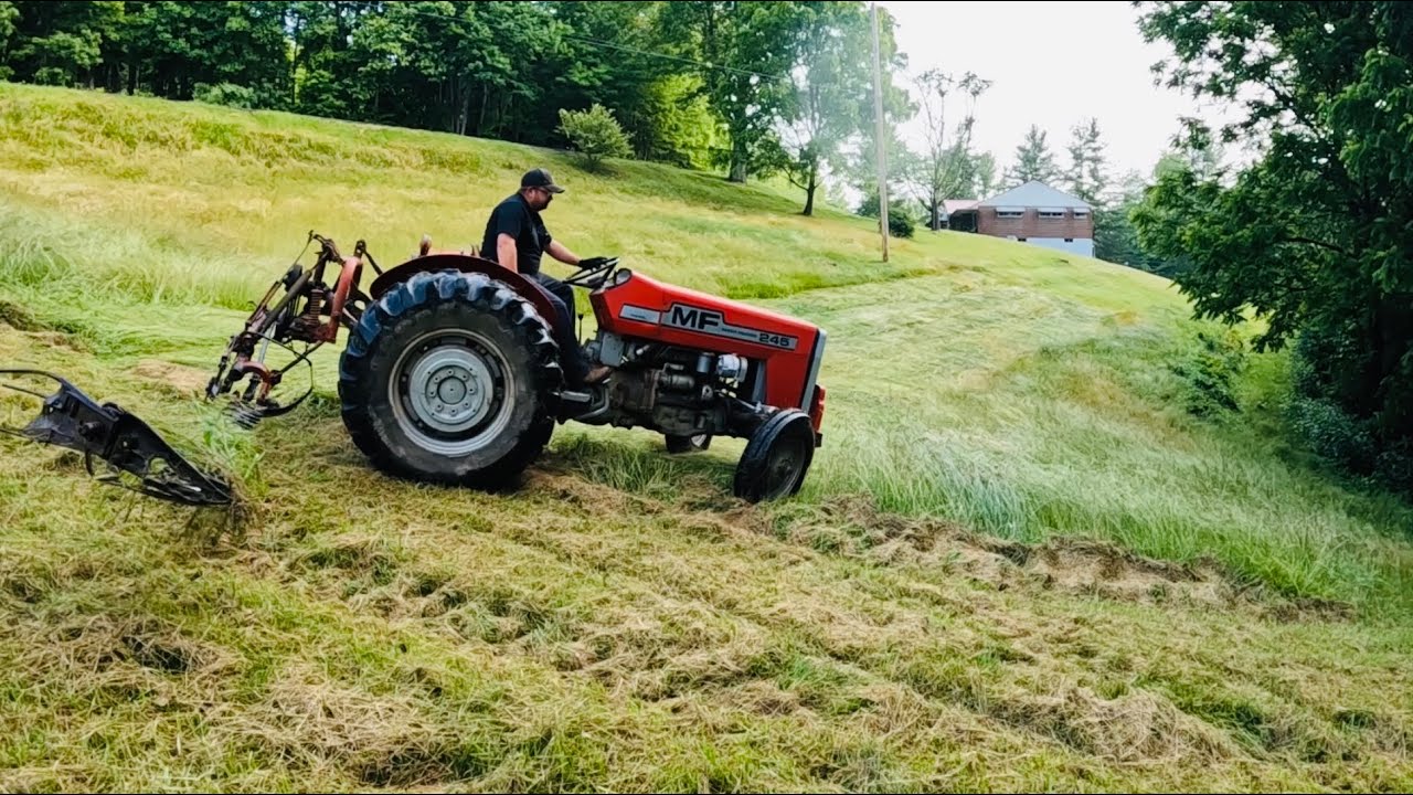 Sickle Mowing Hay with the Massey Ferguson 245