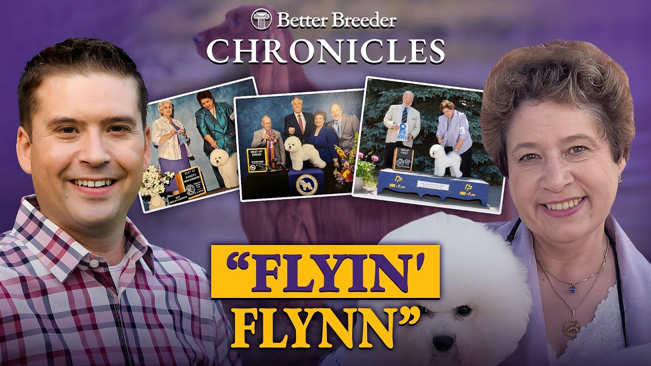 Meet Lorrie Carlton: Master Breeder of Belle Creek Bichon Frise