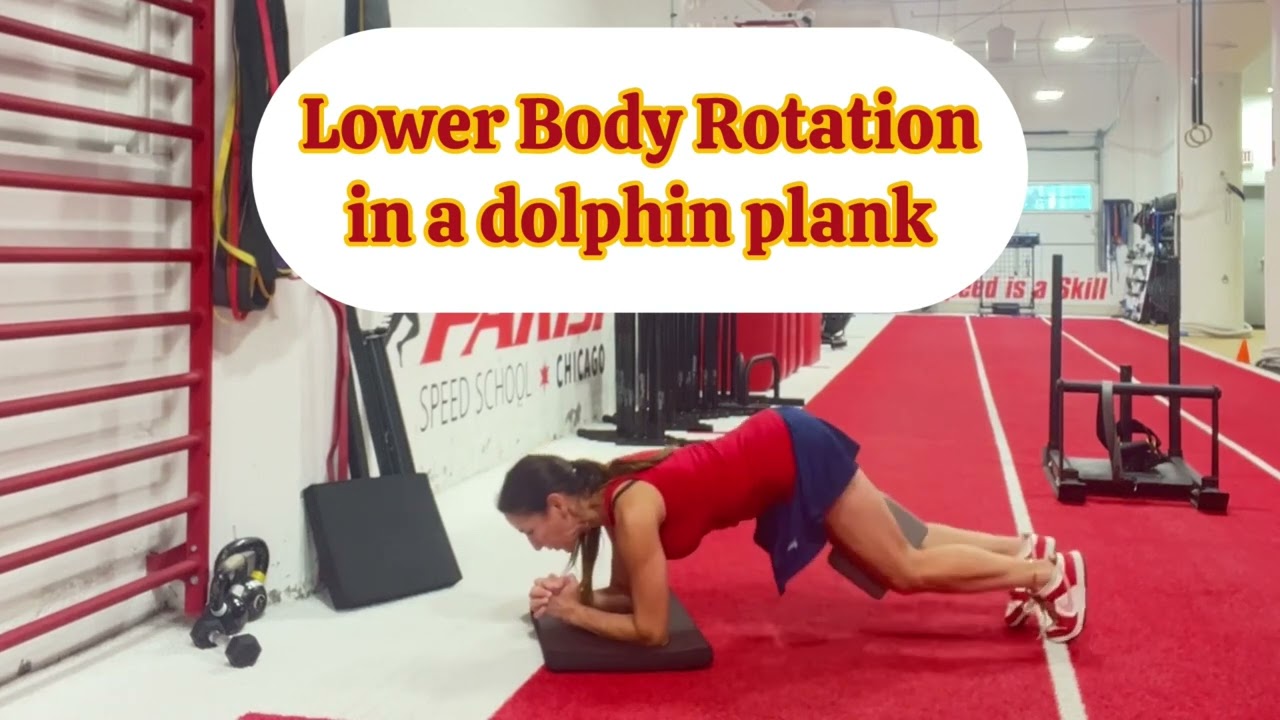 Healthy Back - Favorite Mobility Exercises for a Healthy Back 