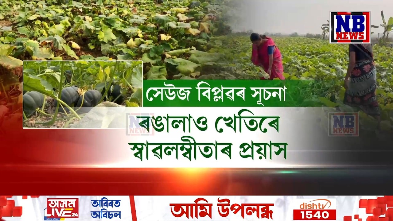 কৃষিকৰ্মৰ জৰিয়তে স্বাৱলম্বিতাৰ সুন্দৰ নিৰ্দশন দাঙি ধৰিছে এগৰাকী মহিলাই৷