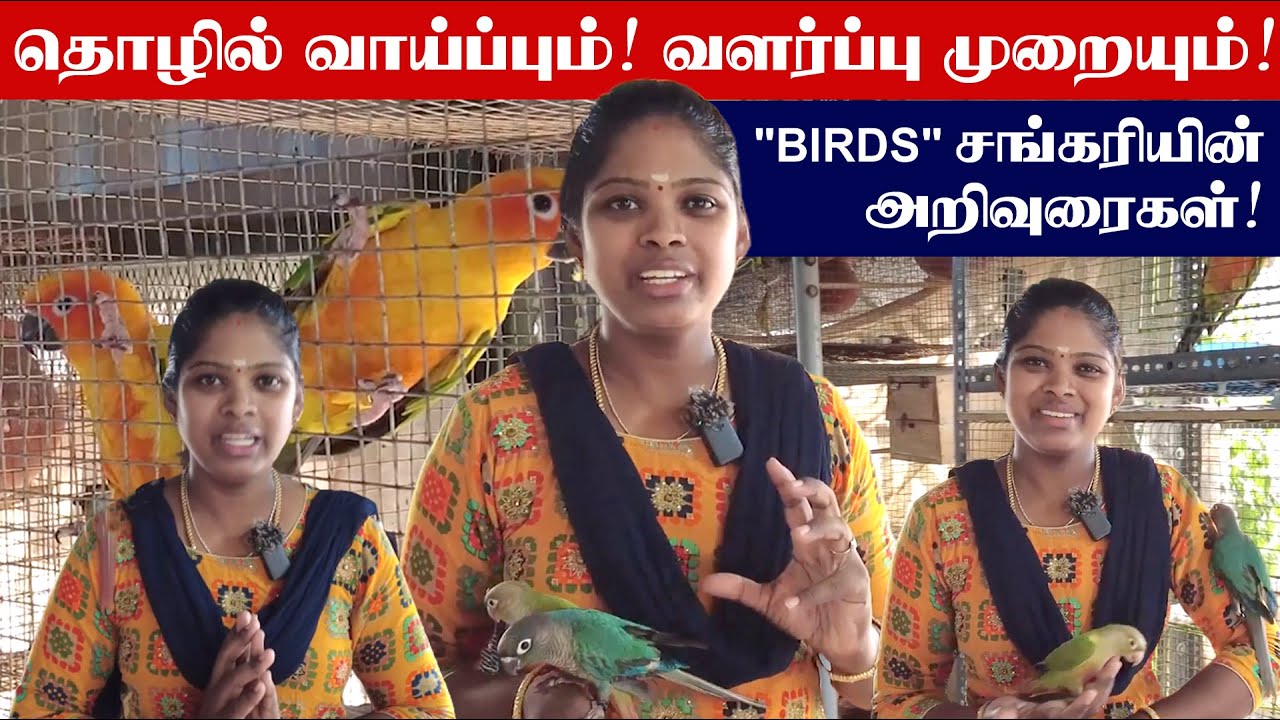 பொழுதுபோக்காக ஆரம்பிச்சேன் | birds farm tamil | ₹1000 ரூபாய் முதல் Hand Tamed Birds for Sale