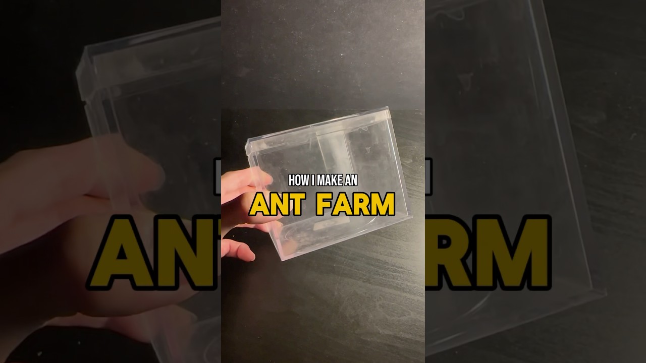 Making an Ant Farm For Pet Ants