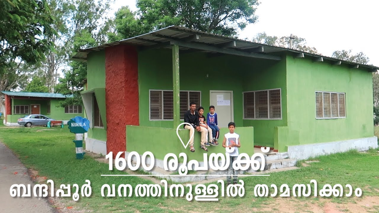 Stay Inside Forest in Bandipur National Park Guest House Malayalam Travel Vlog