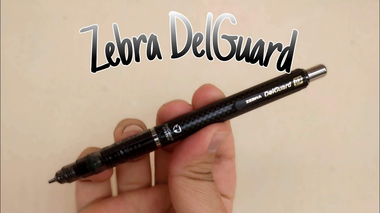 Zebra Delguard İnceleme