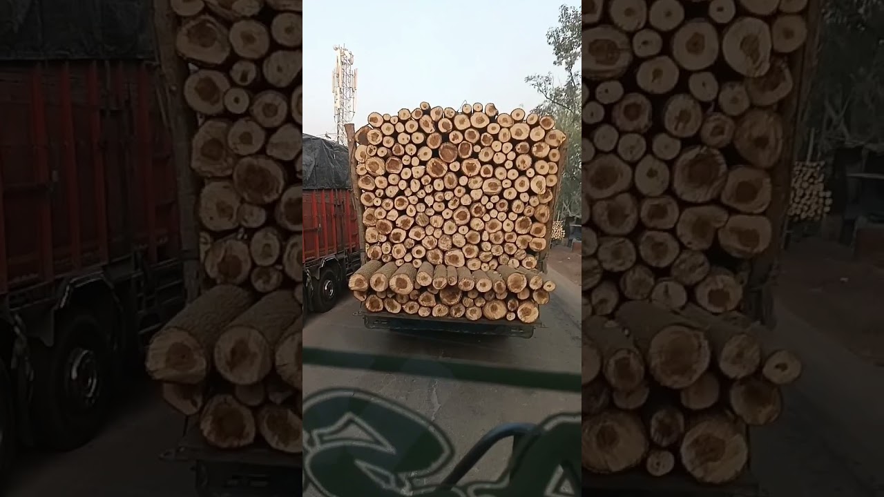 Bharat ki sabse badi lakadi mandi Yamunanagar HR