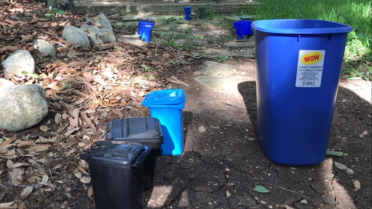 Trash Day In Real Life 2