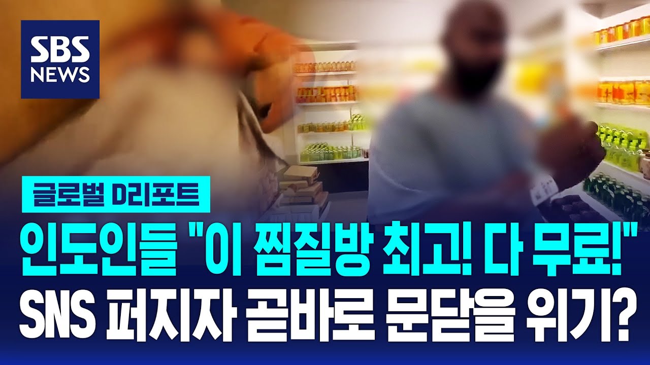 인도인들 