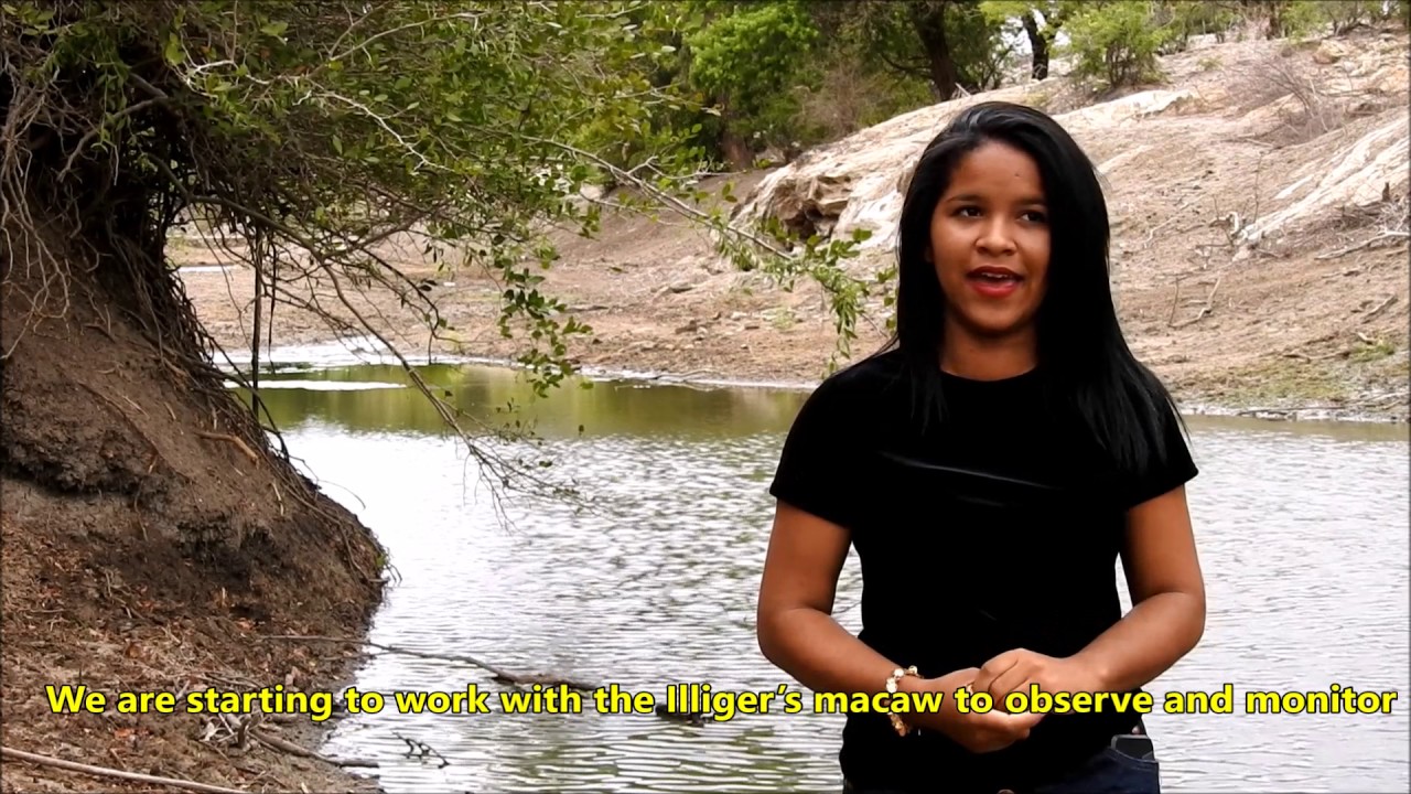 Meet Damilys, the 16 year old girl who filmed the Spix's Macaw