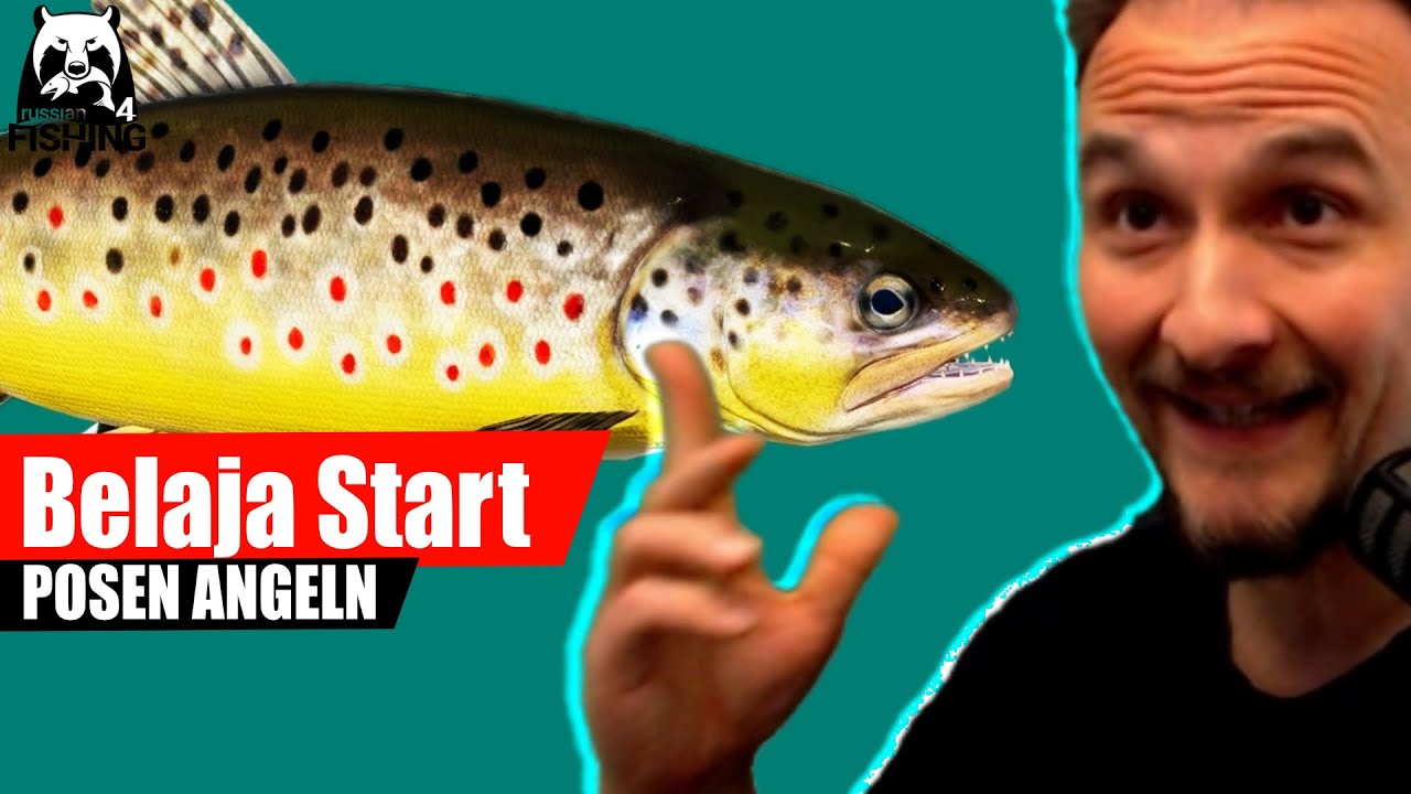 Russian Fishing 4 - Belaja - Start: Posenangeln, Ganz einfach, Ab Level 12