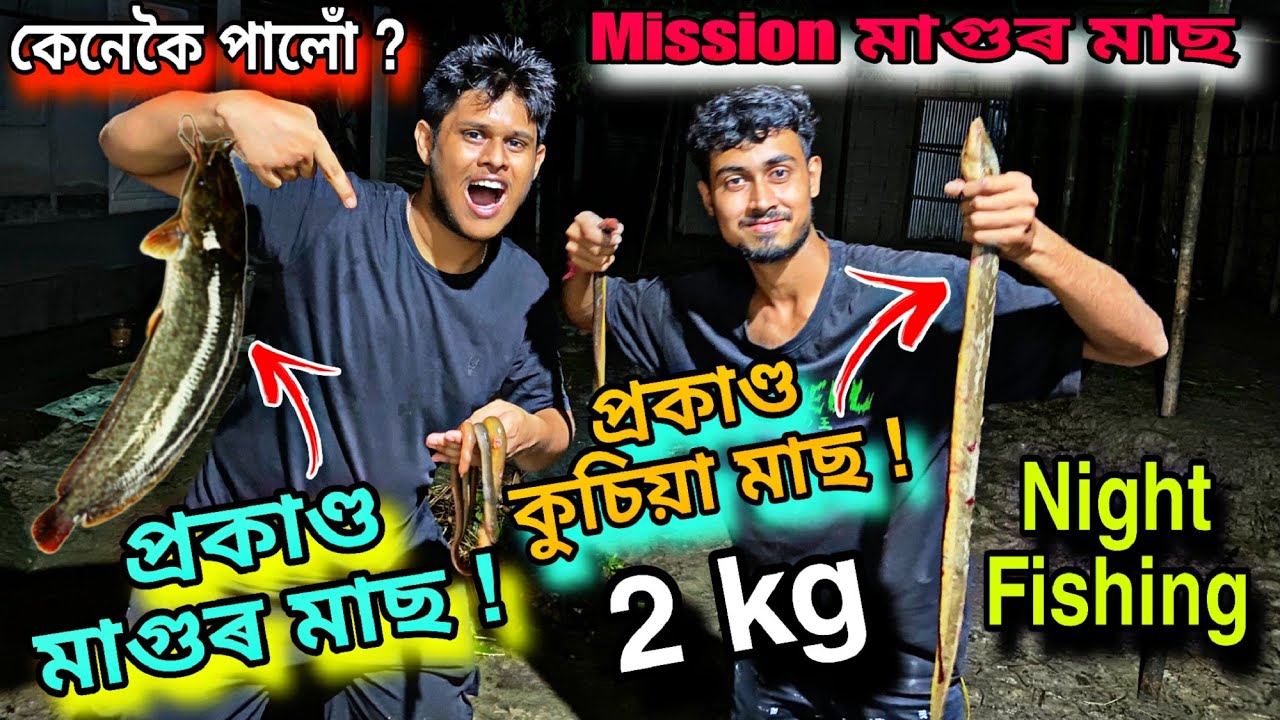 কুচিয়া মাছ আৰু মাগুৰ মাছ মাৰিলোঁ 😍// Night Fishing//Assamese New Funny Vlog 2024//Assamese//2024
