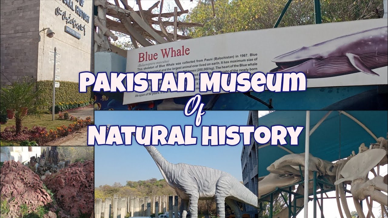 Pakistan Museum of Natural History - Part 1 | Informative Vlog | Flavours in Life