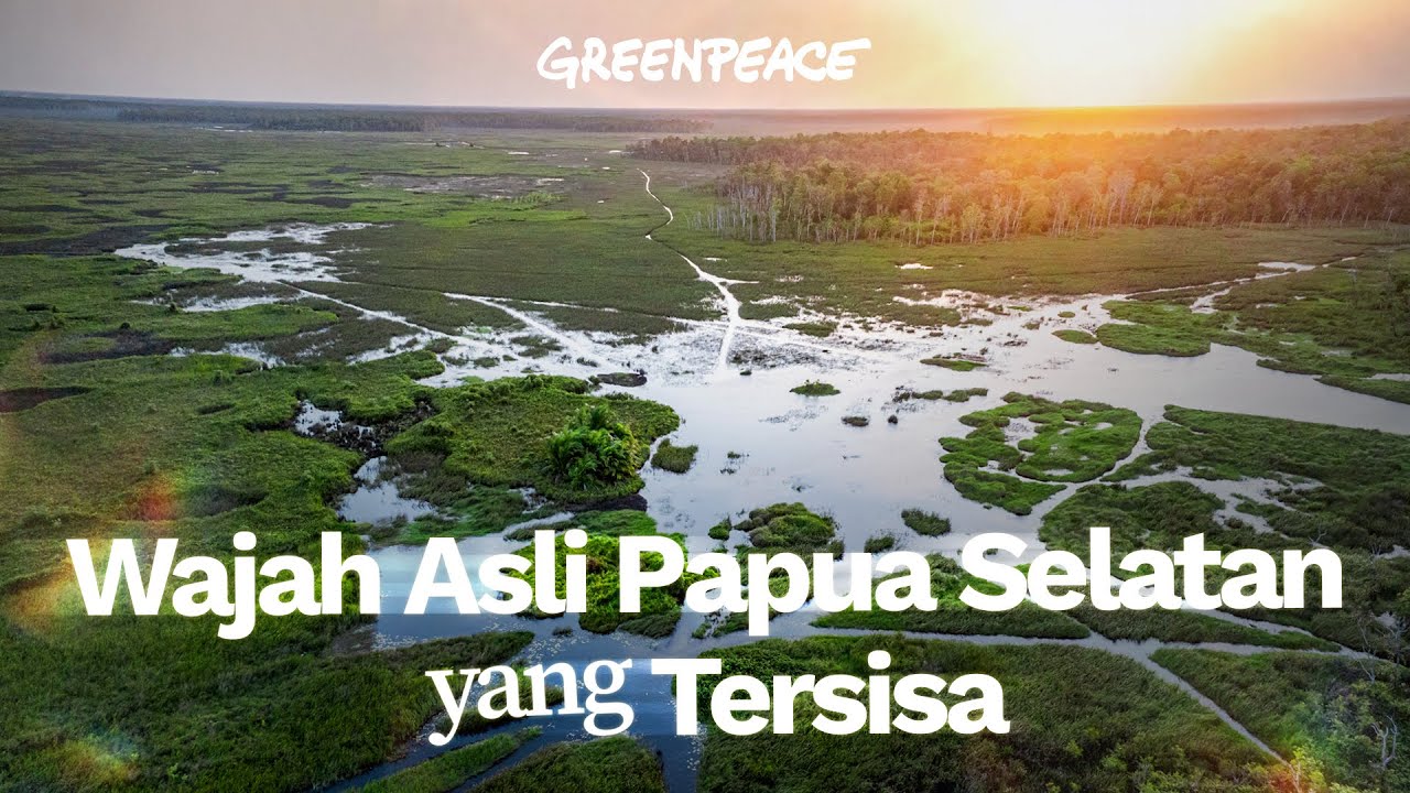 Seperti Inilah Papua Selatan Seharusnya: Wasur dan Ekosistem Alaminya
