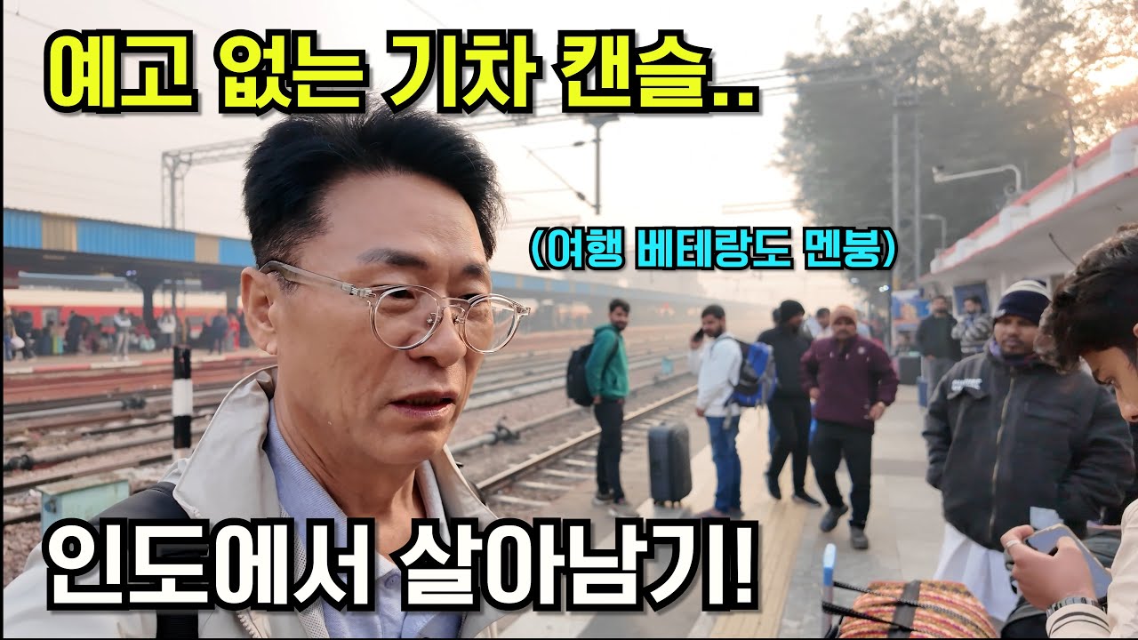 여행 베테랑도 무릎 꿇었다… 인도가 왜 끝판왕인지![인도 3편 자이프르]