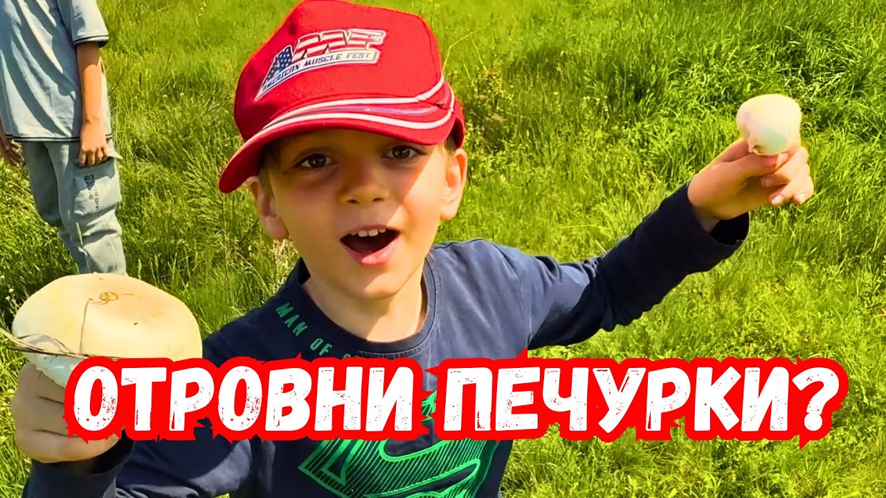 Отровни #печурки?