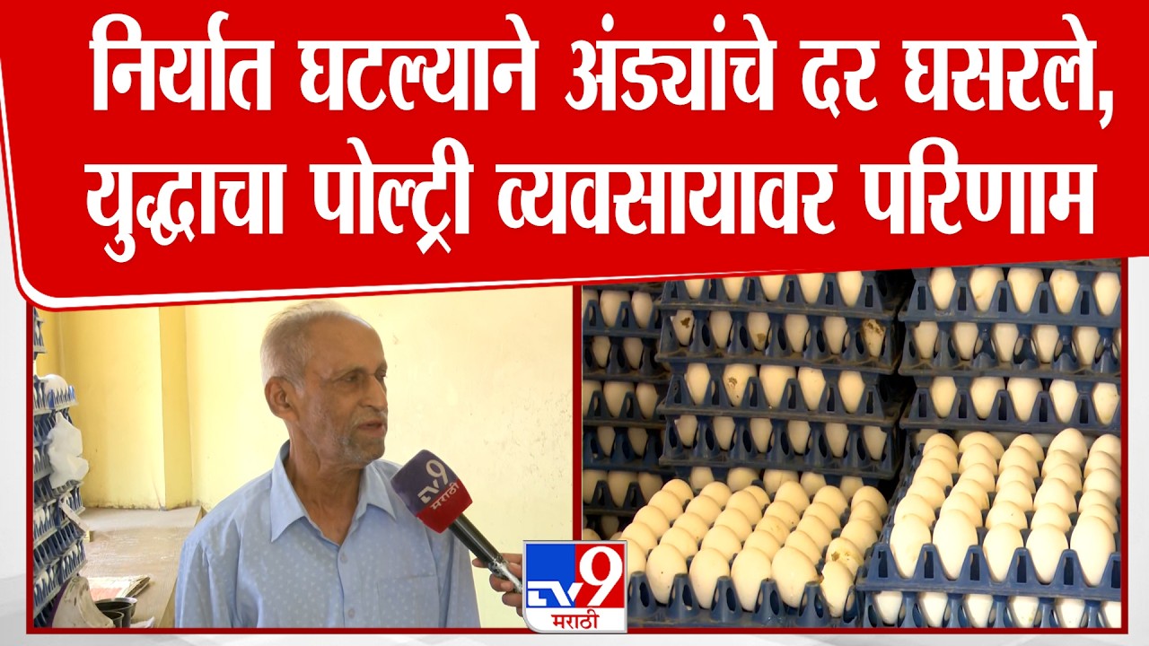 Pune | Egg Price | निर्यात घटल्याने अंड्यांचे दर घसरले, युद्धाचा पोल्ट्री व्यवसायावर परिणाम
