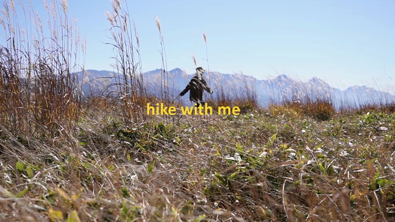 秋の山を歩く | 森暮らし | 八ヶ岳 | Autumn vibes
