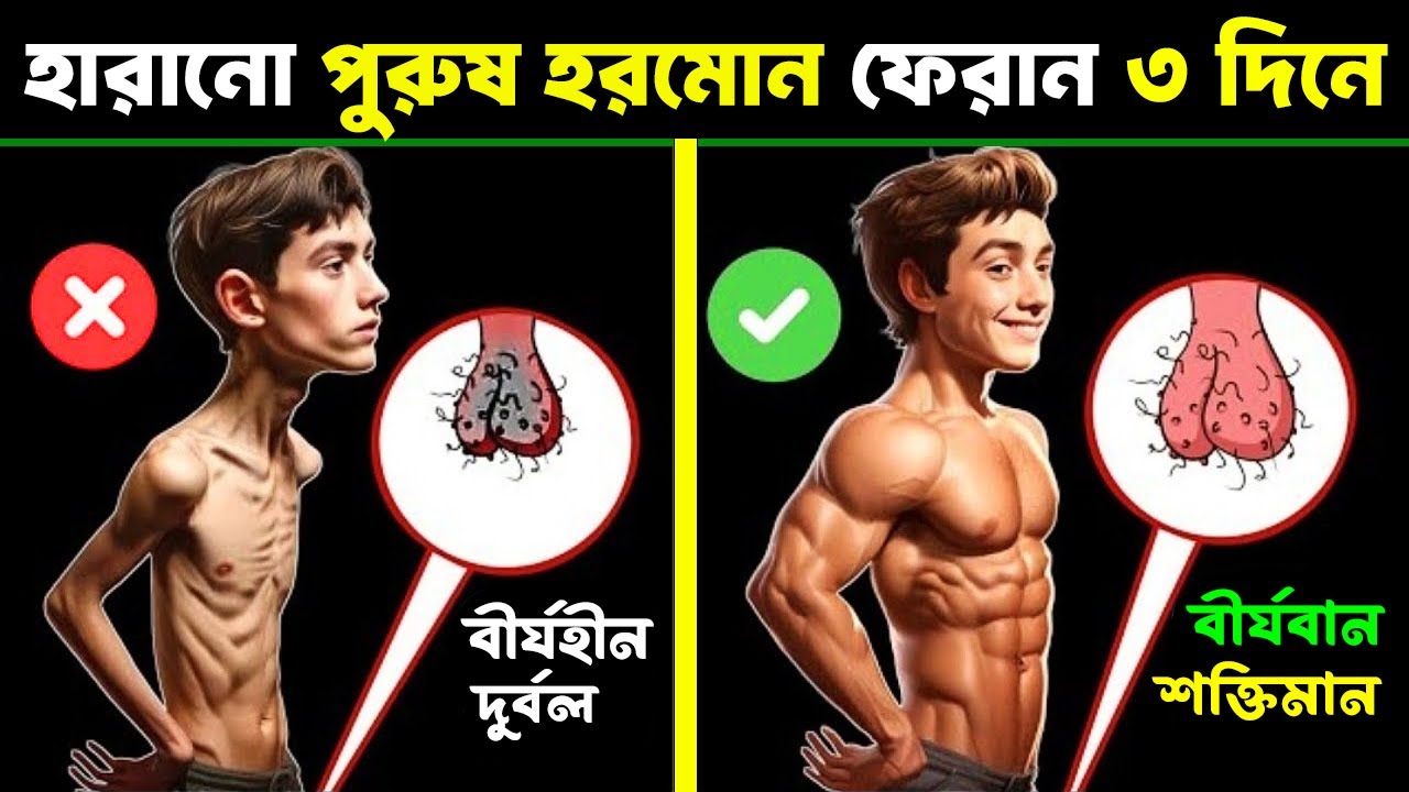 পুরুষ হরমোন বাড়ানোর প্রাকৃতিক উপায় | Increase Testosterone Naturally With Investing Little Money