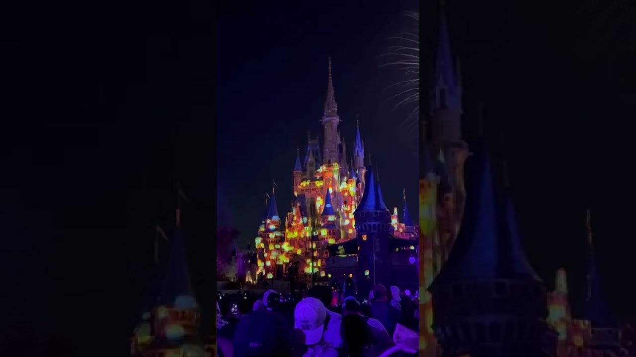 Fireworks (part 2) #disney #disneyfireworks 