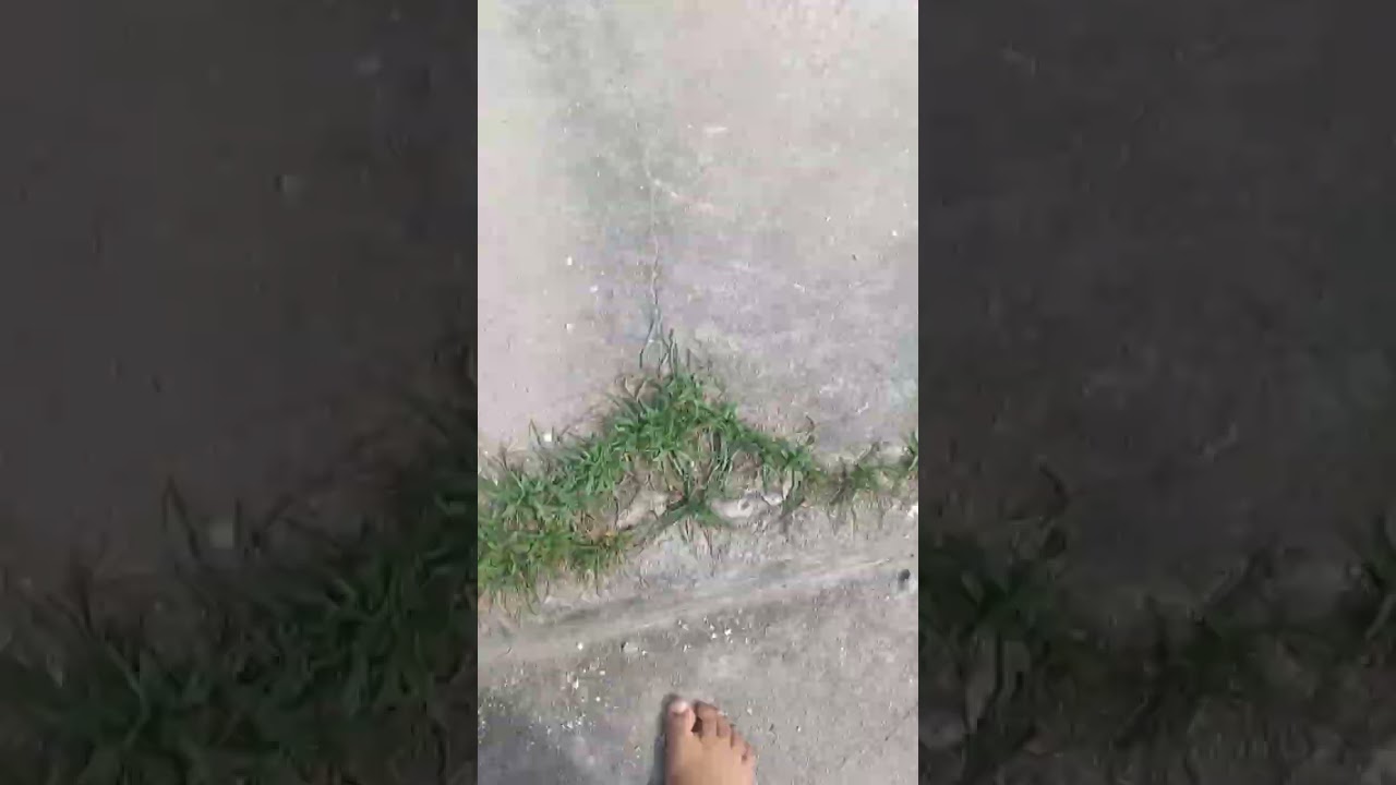JOGANDO BOLA