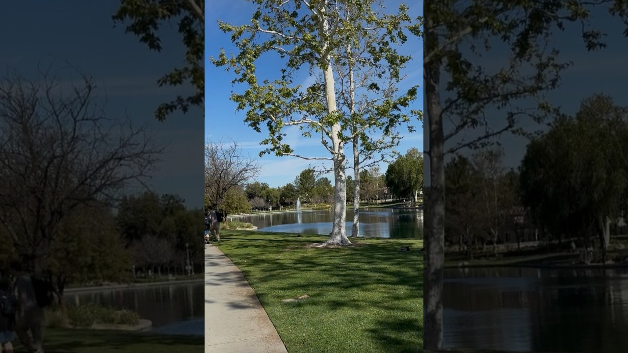 Real American Neighborhood Walk | Treadmill Walking 1 Hour with Natural Sounds.