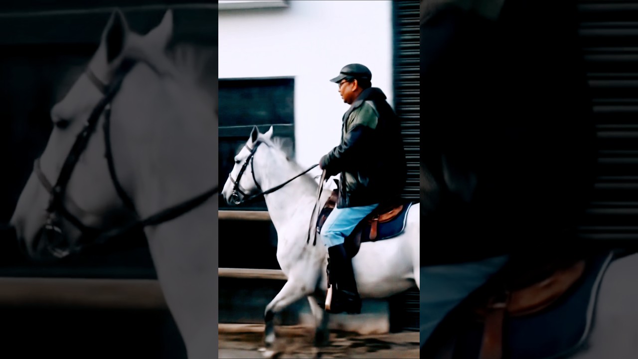 horse running video | | horse race video  | | 