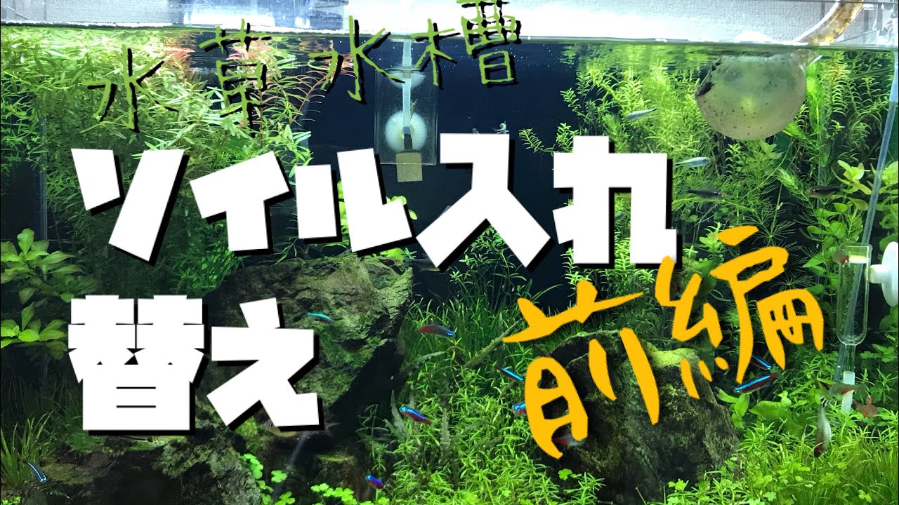 水草水槽 ソイル入れ替え 前編