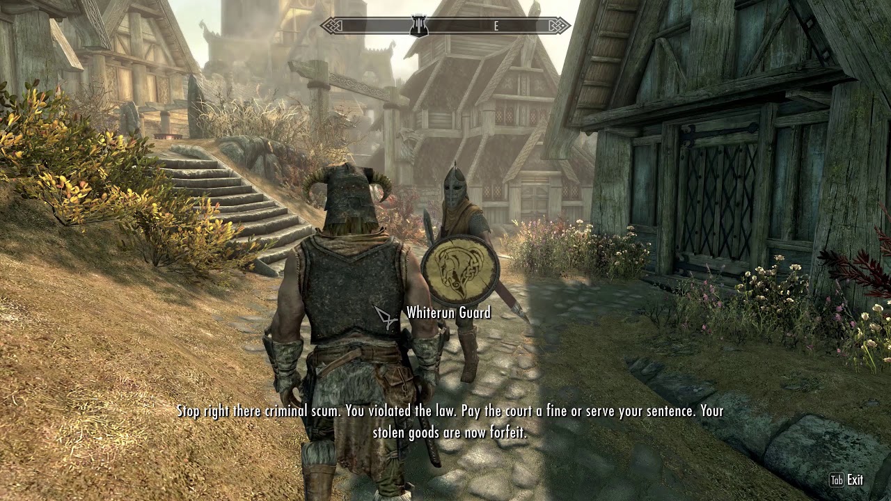 Skyrim Stop right there criminal scum