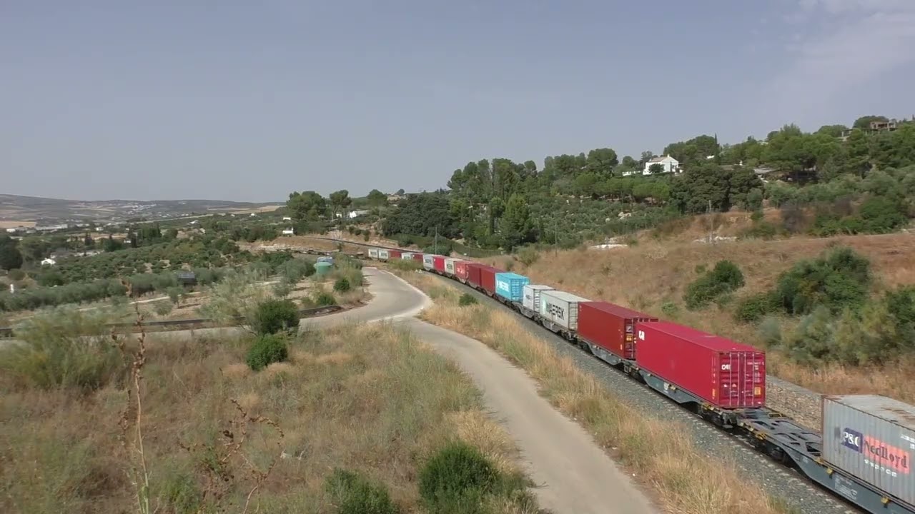Trenes por varios punto de España