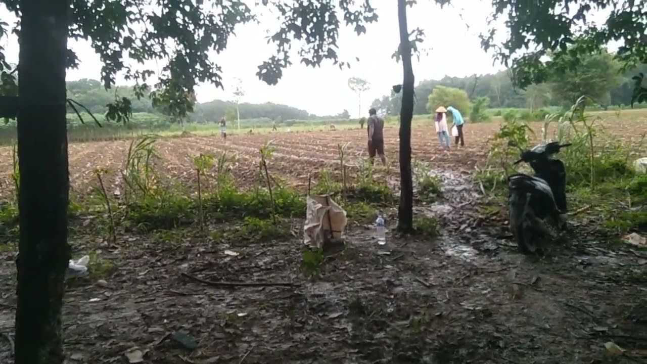 Jalan yang suguh sempurna licin 🤭🤭🤣