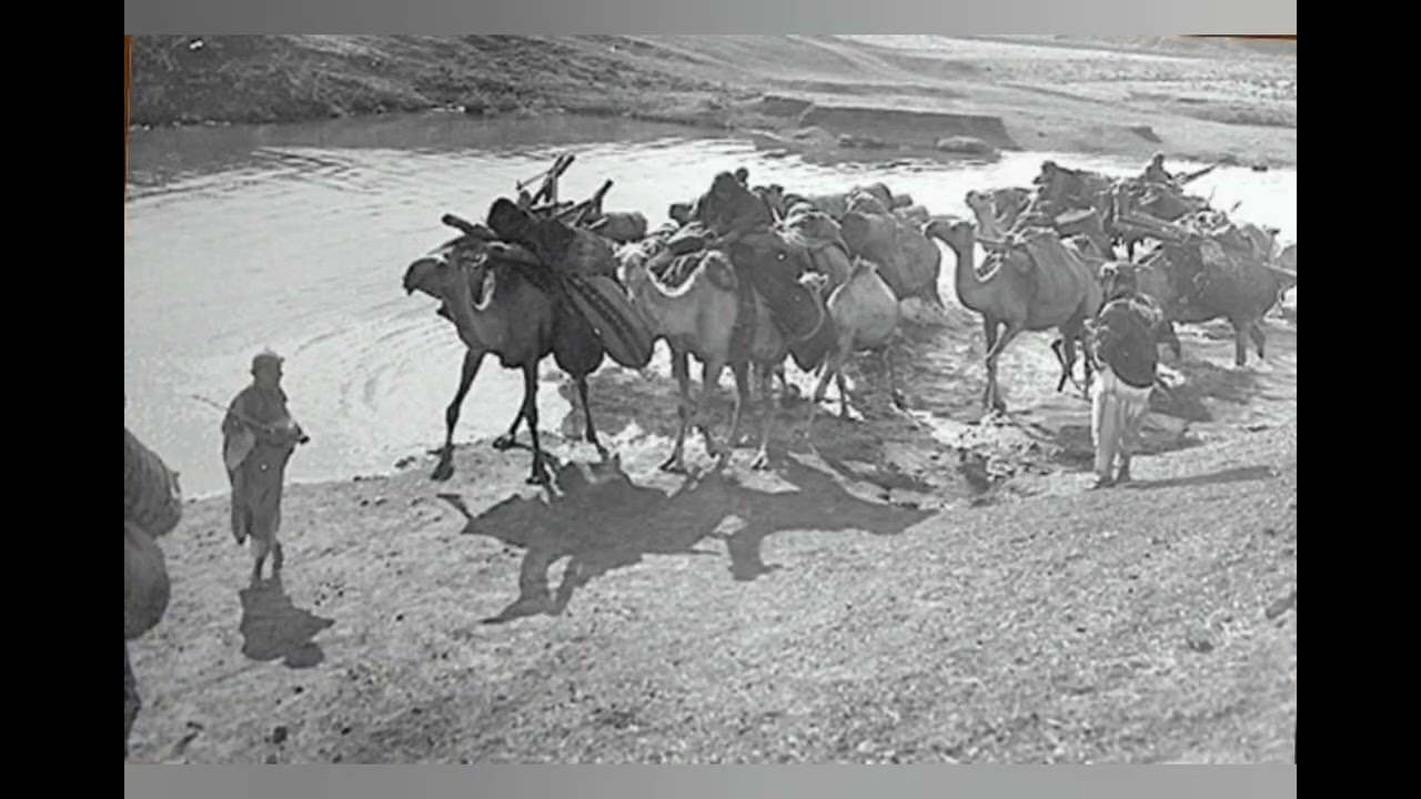 قصة البنت التي أرسلها أبوها لزوجها.. مسافة أربع ليالي!!