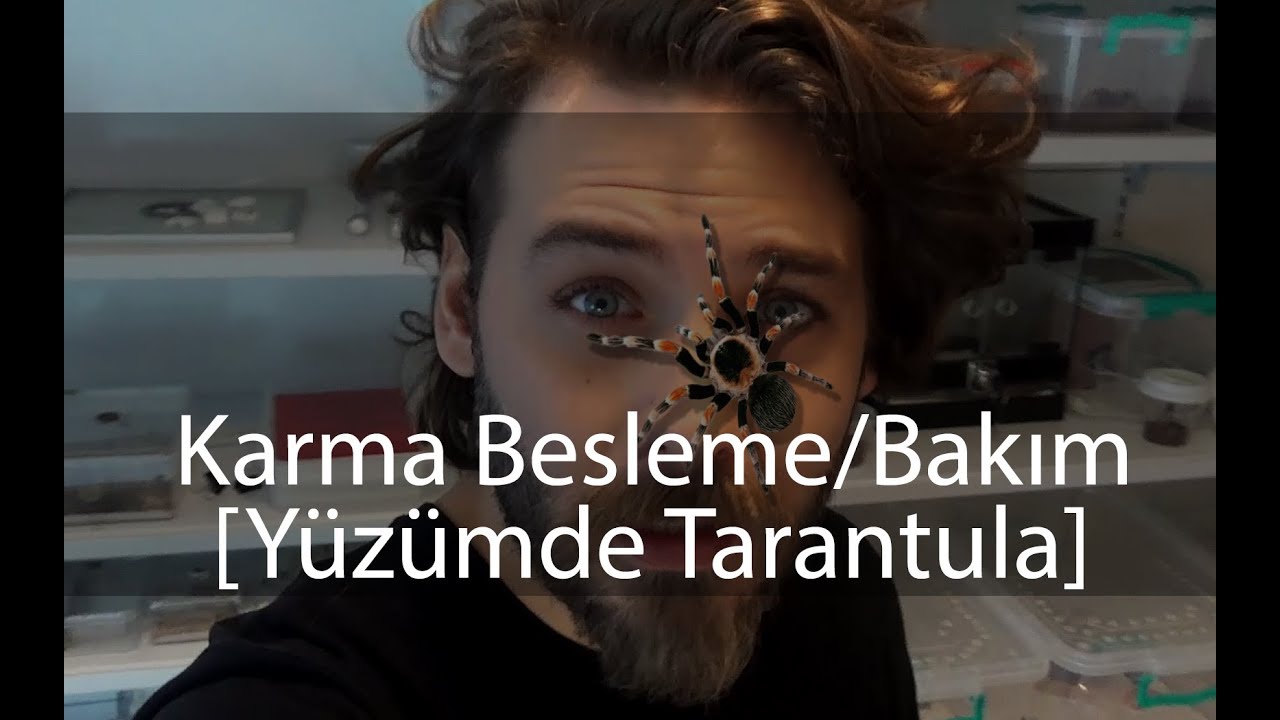 Yüzümde Tarantula - Bir kaç karma besleme