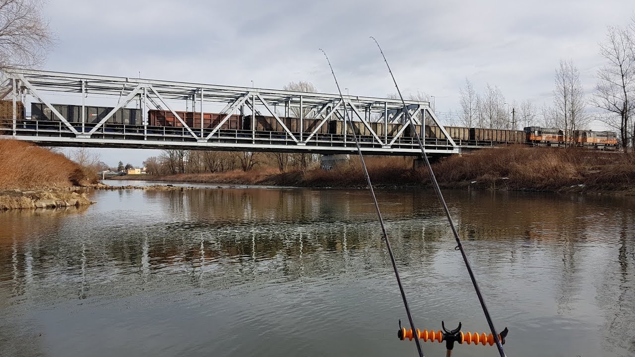 W Poszukiwaniu rzecznych ryb.. rzeka odra i ruda method feeder luty 2019 #carphunterspolska