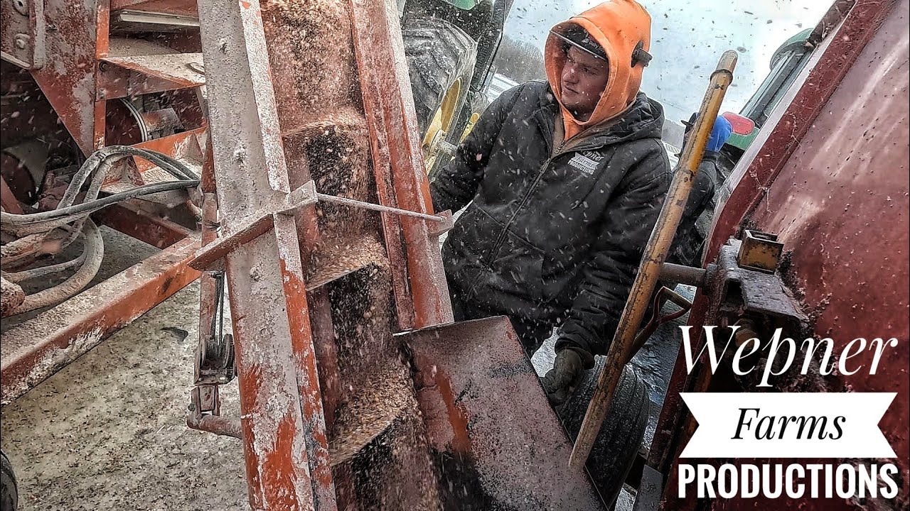 Snowy and Dusty: Behind the Scenes of Making Calf Grain on the Farm!